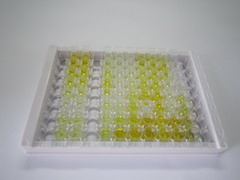 ELISA Kit for Relaxin (RLN)