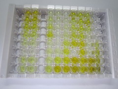 ELISA Kit for Abscisic Acid (ABA)