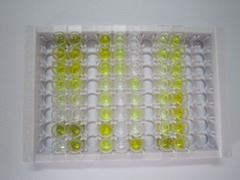 ELISA Kit for Thymosin Beta 4 (TMSB4X)