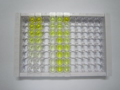 ELISA Kit for Myostatin (MSTN)