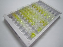 ELISA Kit for Nitrotyrosine (NT)