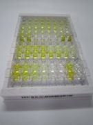 ELISA Kit for Hepcidin (Hepc)