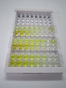 ELISA Kit for Cathelicidin Antimicrobial Peptide (CAMP)