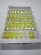 ELISA Kit for Apelin (APLN)