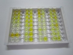 ELISA Kit for Fibroblast Growth Factor 15 (FGF15)