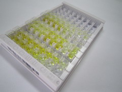 ELISA Kit for Peptide YY 3 (PYY3)