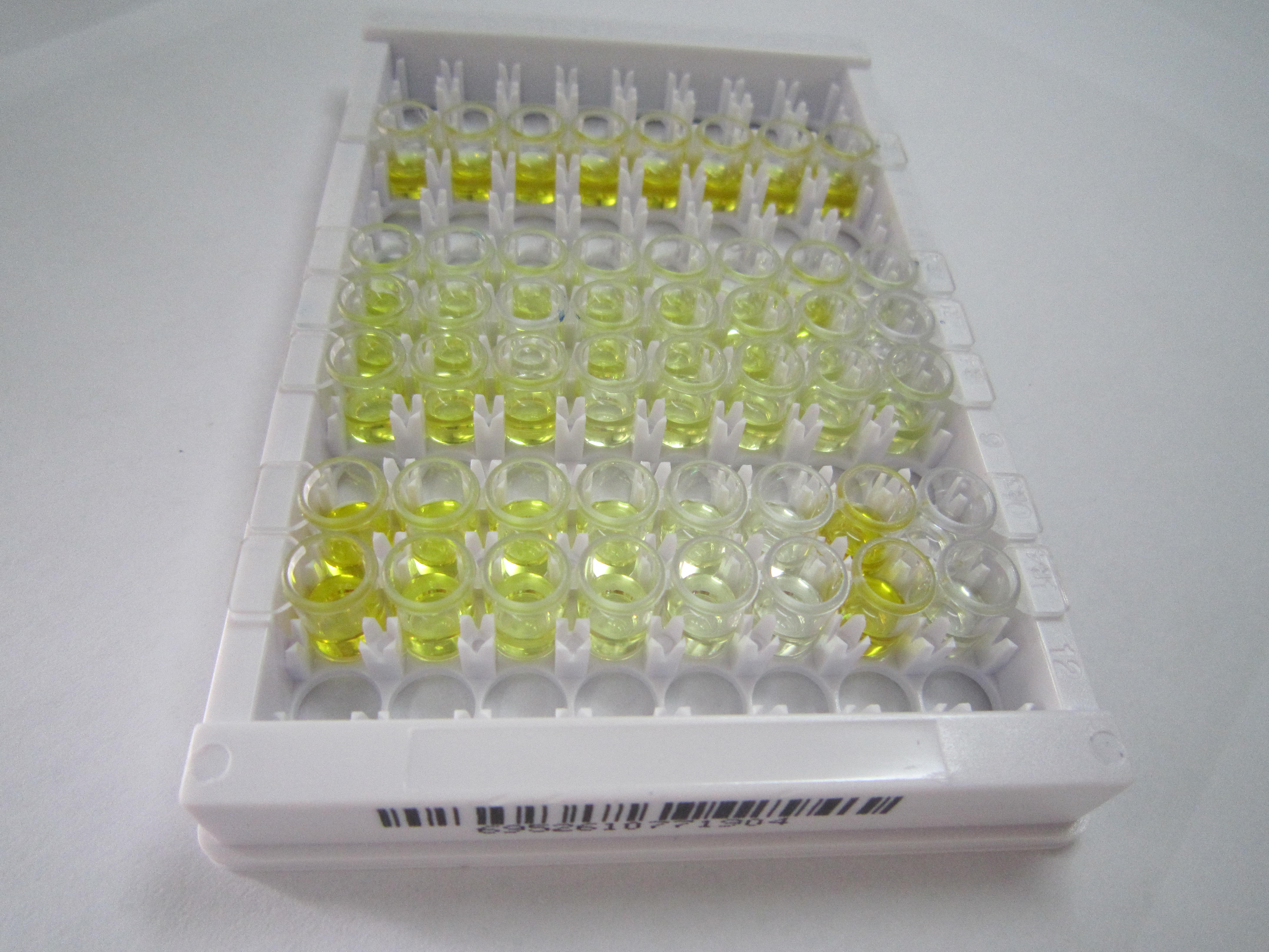 ELISA Kit for Angiotensin 1-9 (Ang1-9)