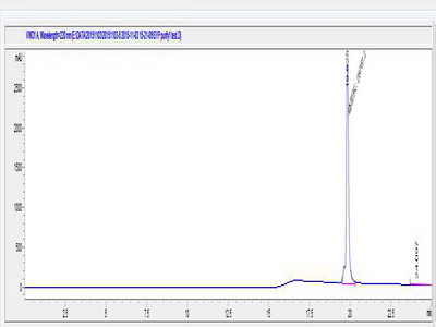 OVA Conjugated Synaptophysin (SYP)