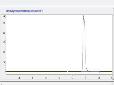 OVA Conjugated Myelin Basic Protein (MBP)