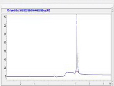 OVA Conjugated p53 Upregulated Modulator Of Apoptosis (PUMA)