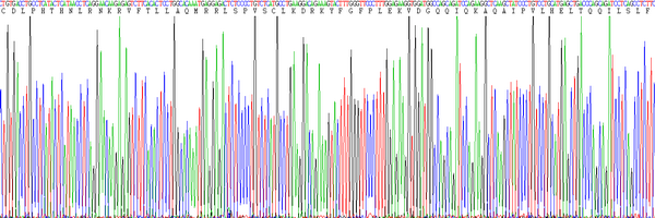 Eukaryotic Interferon Alpha (IFNa)