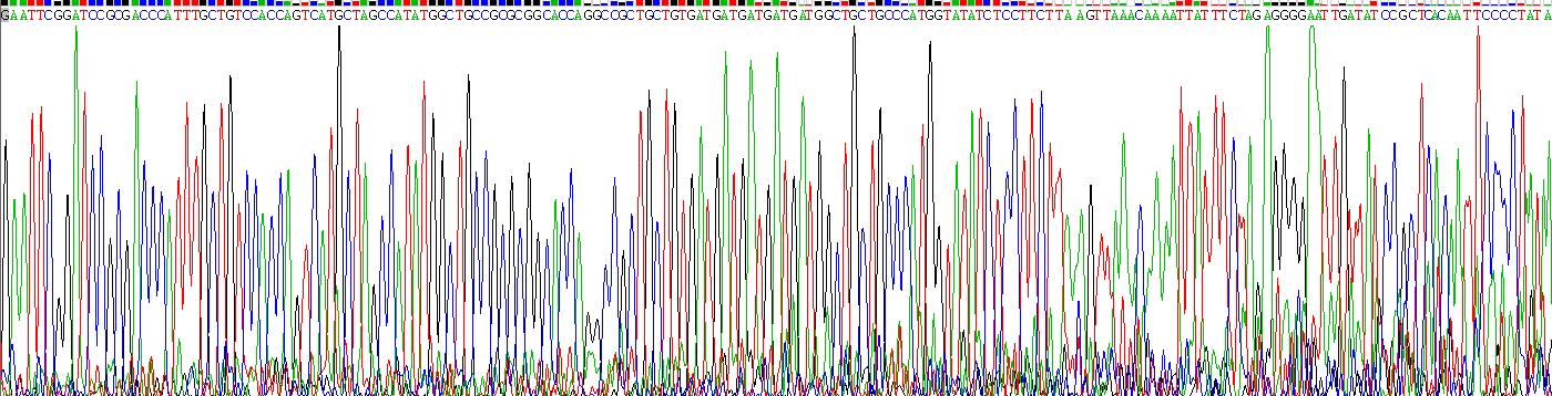 Eukaryotic Interleukin 9 (IL9)