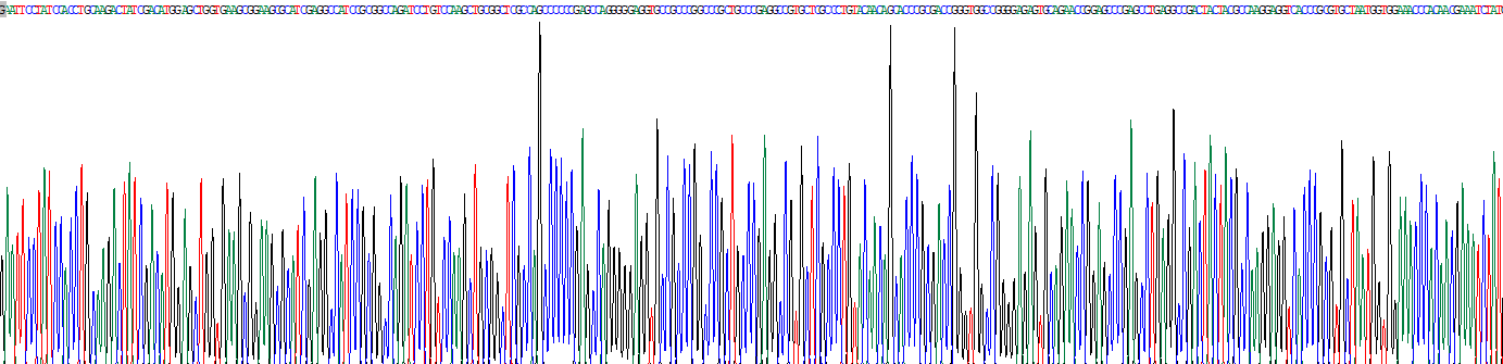 Eukaryotic Transforming Growth Factor Beta 1 (TGFb1)