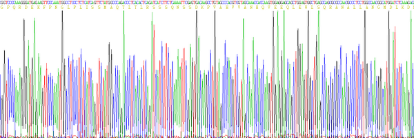 Eukaryotic Tumor Necrosis Factor Alpha (TNFa)