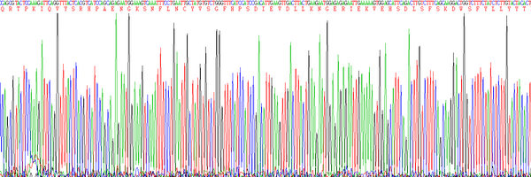 Eukaryotic Beta-2-Microglobulin (b2M)