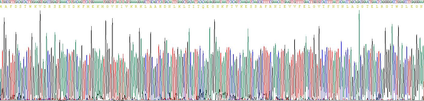 Eukaryotic Fatty Acid Binding Protein 2, Intestinal (FABP2)
