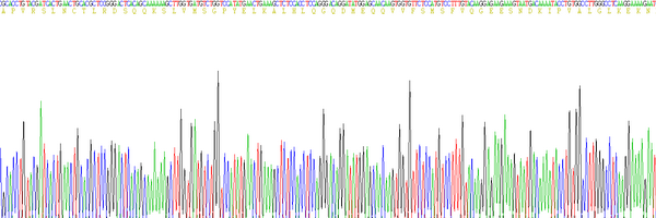 Eukaryotic Interleukin 1 Beta (IL1b)