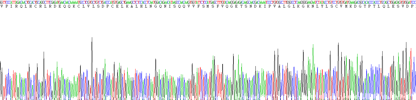 Eukaryotic Interleukin 1 Beta (IL1b)