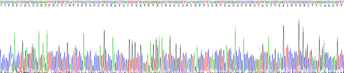 Eukaryotic Cluster Of Differentiation 14 (CD14)