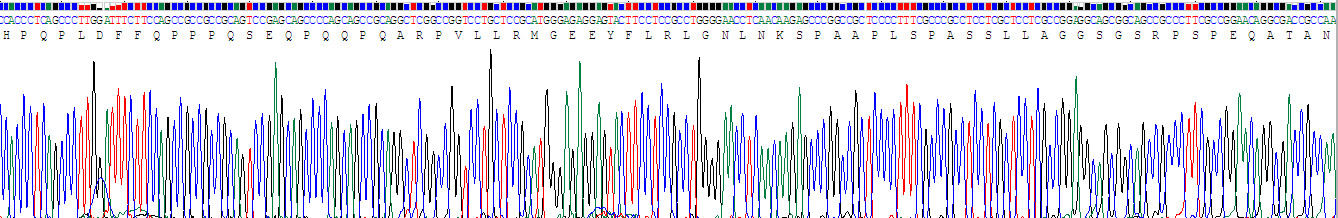 Eukaryotic Corticotropin Releasing Factor (CRF)