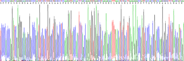 Eukaryotic Inhibin Beta A (INHbA)