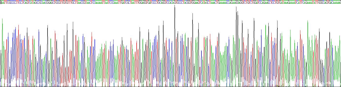 Eukaryotic Epithelial Neutrophil Activating Peptide 78 (ENA78)
