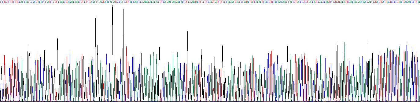 Eukaryotic Ceruloplasmin (CP)