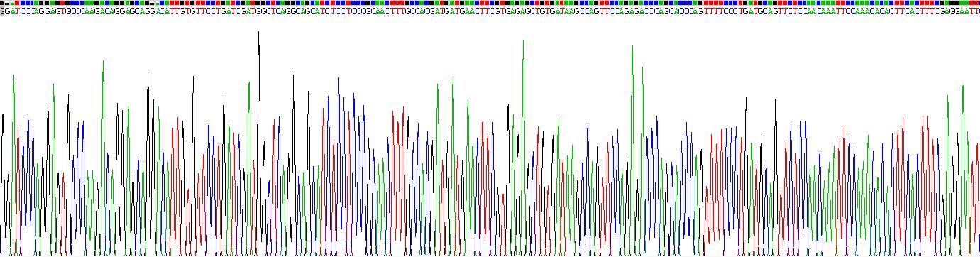 Eukaryotic Integrin Alpha X (CD11c)