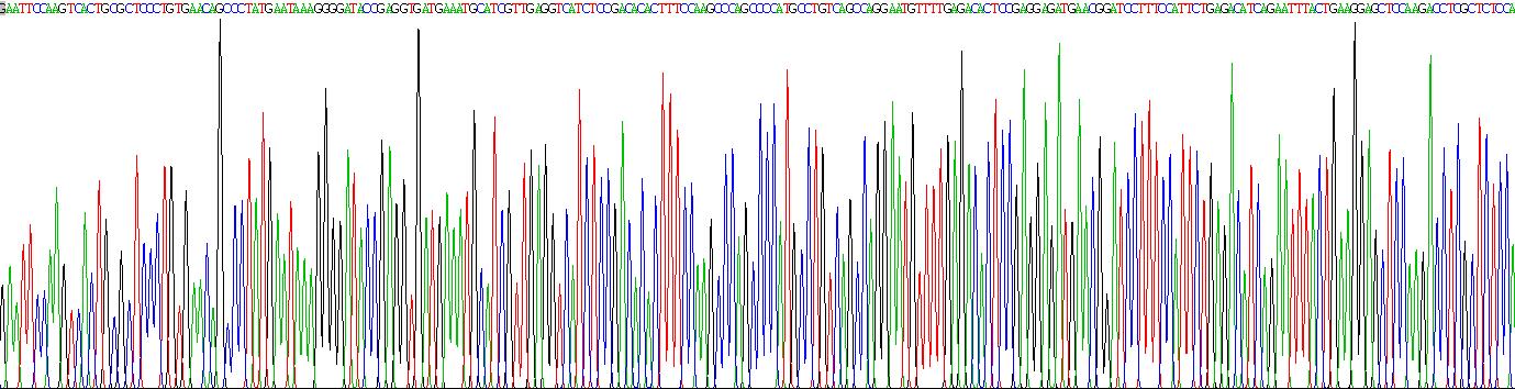 Eukaryotic Chromogranin A (CHGA)