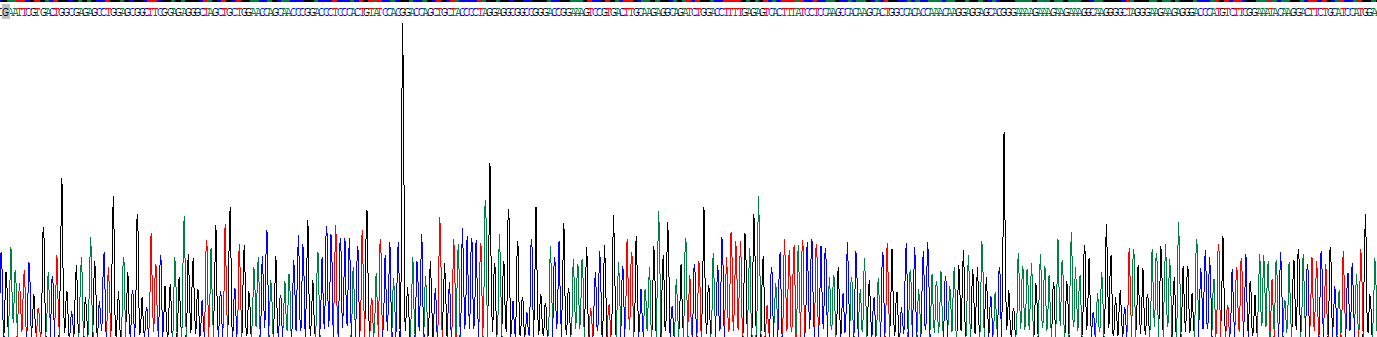 Eukaryotic Heparin Binding Epidermal Growth Factor Like Growth Factor (HBEGF)