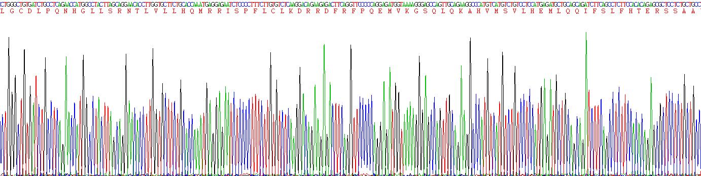 Eukaryotic Interferon Omega (IFNw)