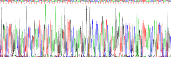 Eukaryotic Fatty Acid Binding Protein 4 (FABP4)