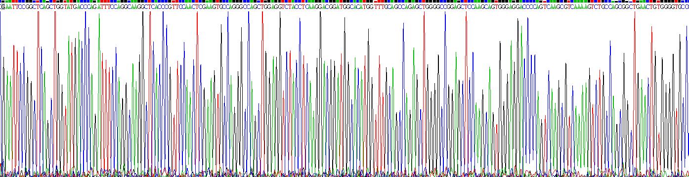 Eukaryotic Cluster Of Differentiation 5 (CD5)