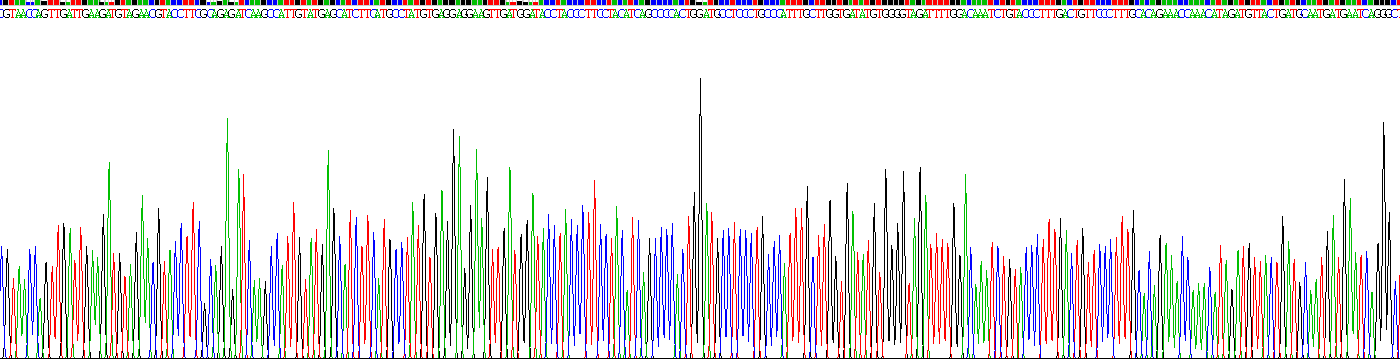 Eukaryotic Angiotensin I Converting Enzyme 2 (ACE2)