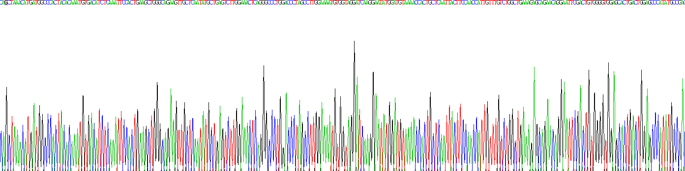 Eukaryotic Angiotensin I Converting Enzyme 2 (ACE2)