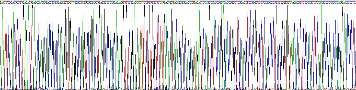 Eukaryotic Bone Morphogenetic Protein 3 (BMP3)