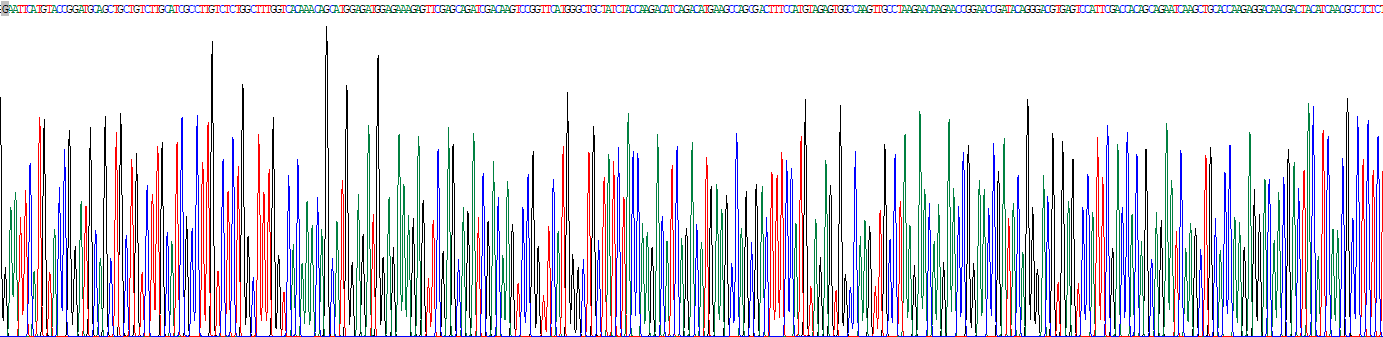 Eukaryotic Protein Tyrosine Phosphatase, Non Receptor Type 1 (PTPN1)
