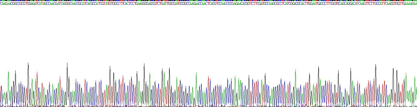 Eukaryotic Heat Shock 70kDa Protein 5 (HSPA5)