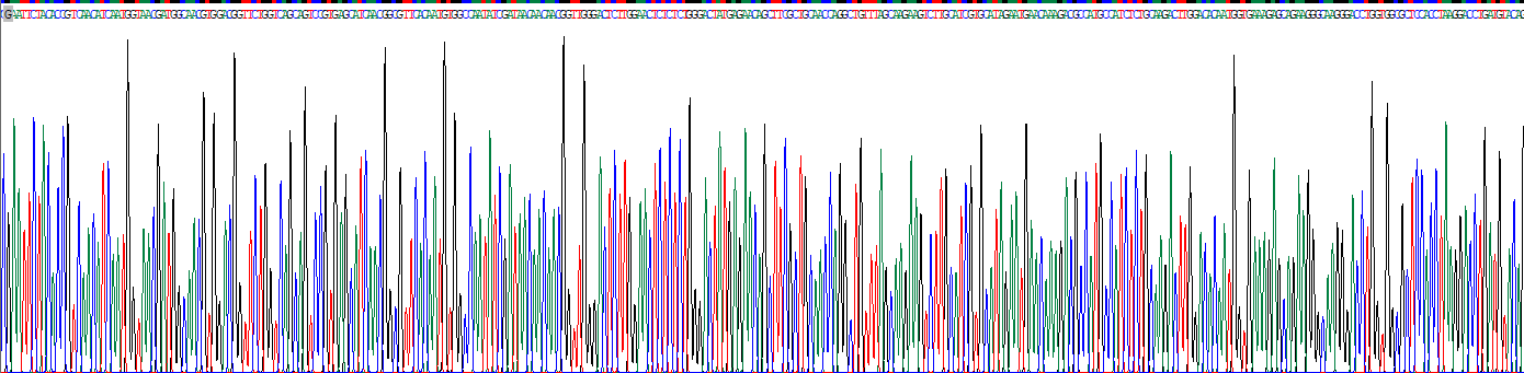 Eukaryotic Gastrokine 1 (GKN1)