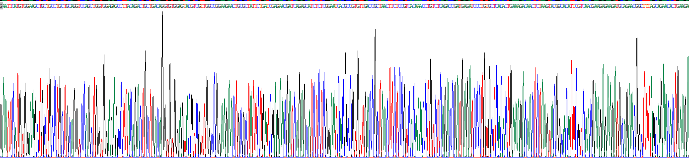 Eukaryotic Nibrin (NBN)