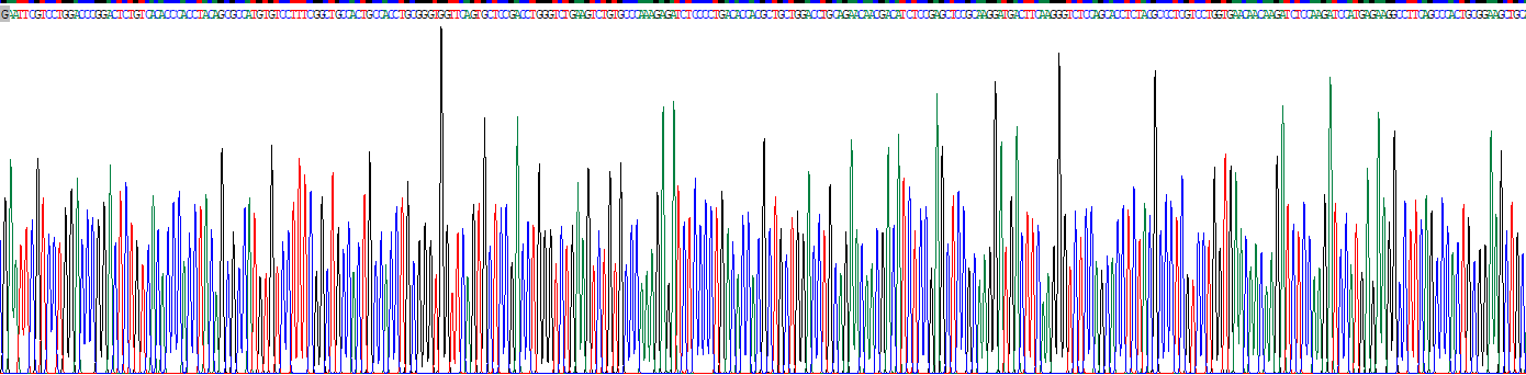Eukaryotic Biglycan (BGN)
