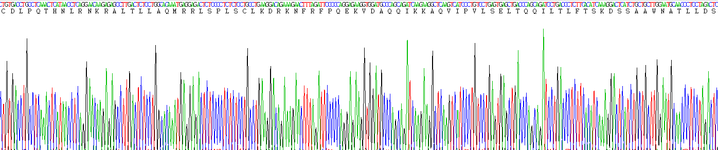 Eukaryotic Interferon Alpha 9 (IFNa9)