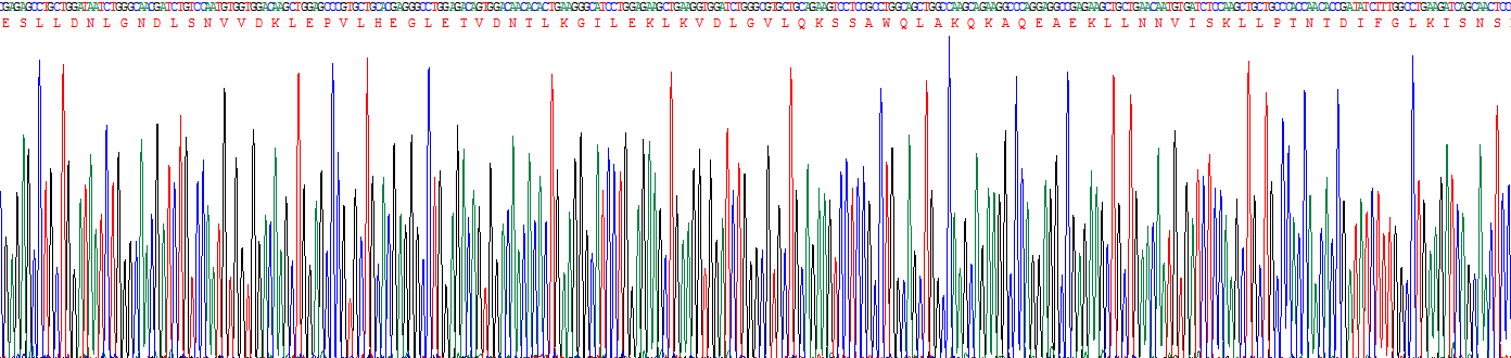 Eukaryotic Short Palate, Lung And Nasal Epithelium Carcinoma Associated Protein 2 (SPLUNC2)