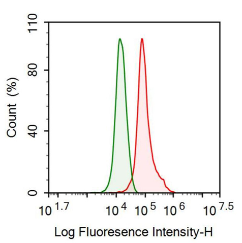 Anti-Connective Tissue Growth Factor (CTGF) Monoclonal Antibody