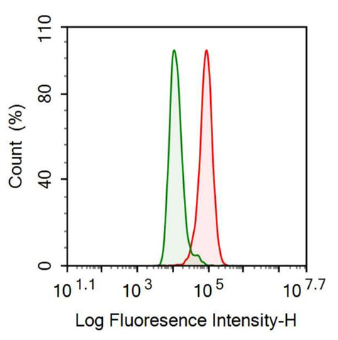 Anti-E-cadherin Monoclonal Antibody