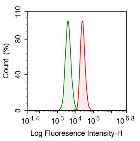 Anti-Interferon Alpha (IFNa) Polyclonal Antibody