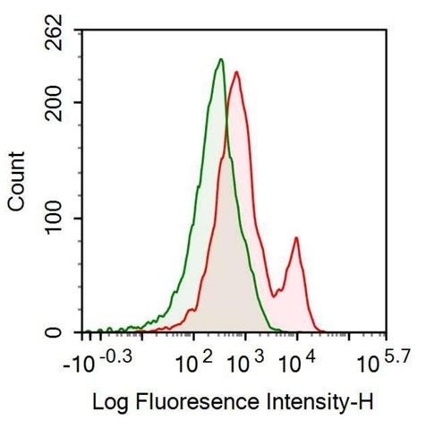 Anti-Interferon Gamma (IFNg) Monoclonal Antibody