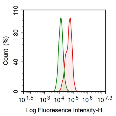Anti-Interleukin 8 (IL8) Polyclonal Antibody
