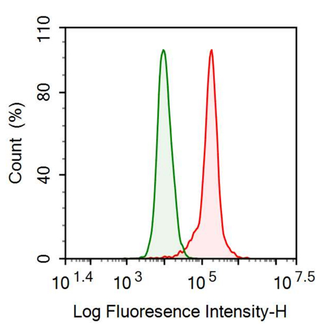 Anti-Nerve Growth Factor (NGF) Monoclonal Antibody