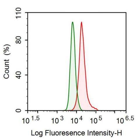 Anti-Tissue Inhibitors Of Metalloproteinase 3 (TIMP3) Monoclonal Antibody
